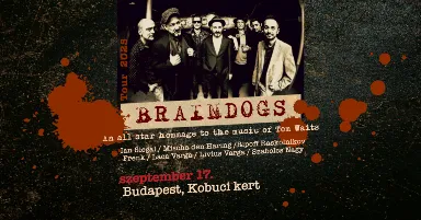 Braindogs