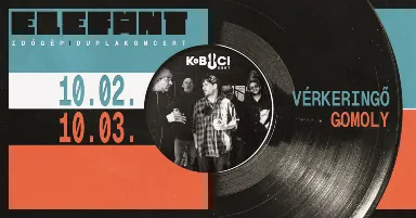 Elefánt // 2. nap