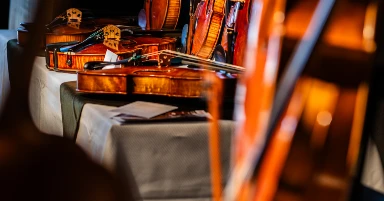 XV. Wine&Violin Hegedű- és Vonókészítők Szalonja: Nagy Csomor András és zenekara