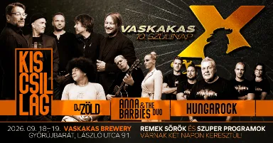 10. Vaskakas Születésnapi Party